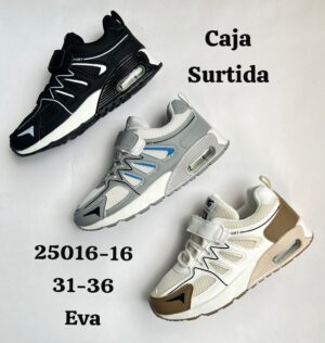 25016-16