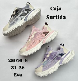 25016-6