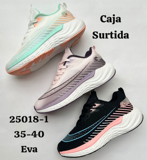 25018-1