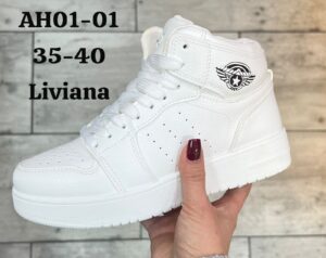 AH01-01