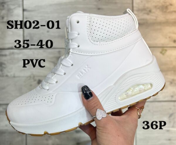 SH02-01