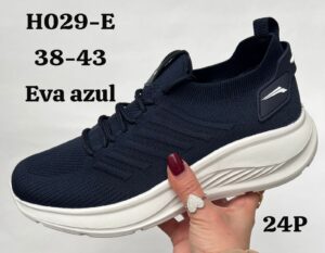 H029-E