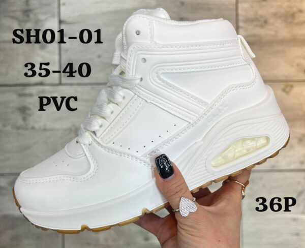 SH01-01